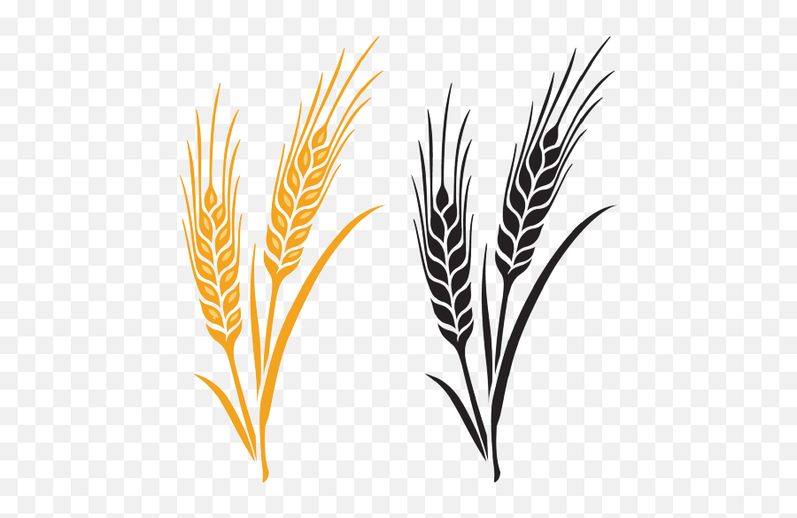 Wheat Png Hd Png Images Transparent Background Free Download Emoji,Wheat Transparent Background