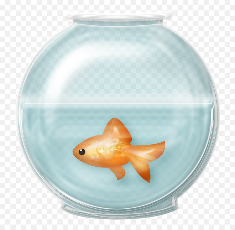Goldfish Clip Art - Fish Bowl Png Downlo 1508495 Png Fish In Fishbowl Transparent Background Emoji,Goldfish Clipart