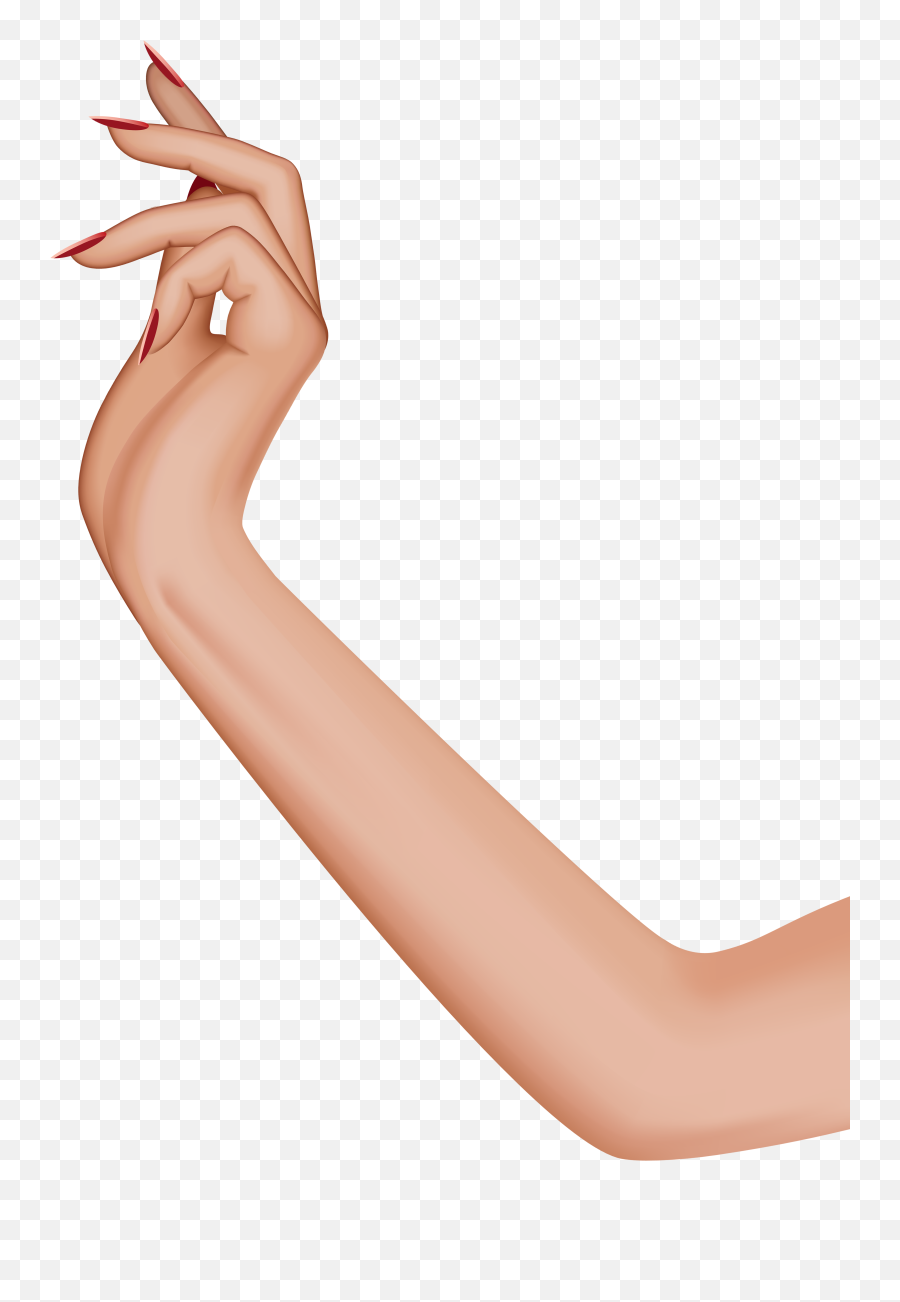 Clipart Hand Arm Clipart Hand Arm - Transparent Female Arm Png Emoji,Arm Png