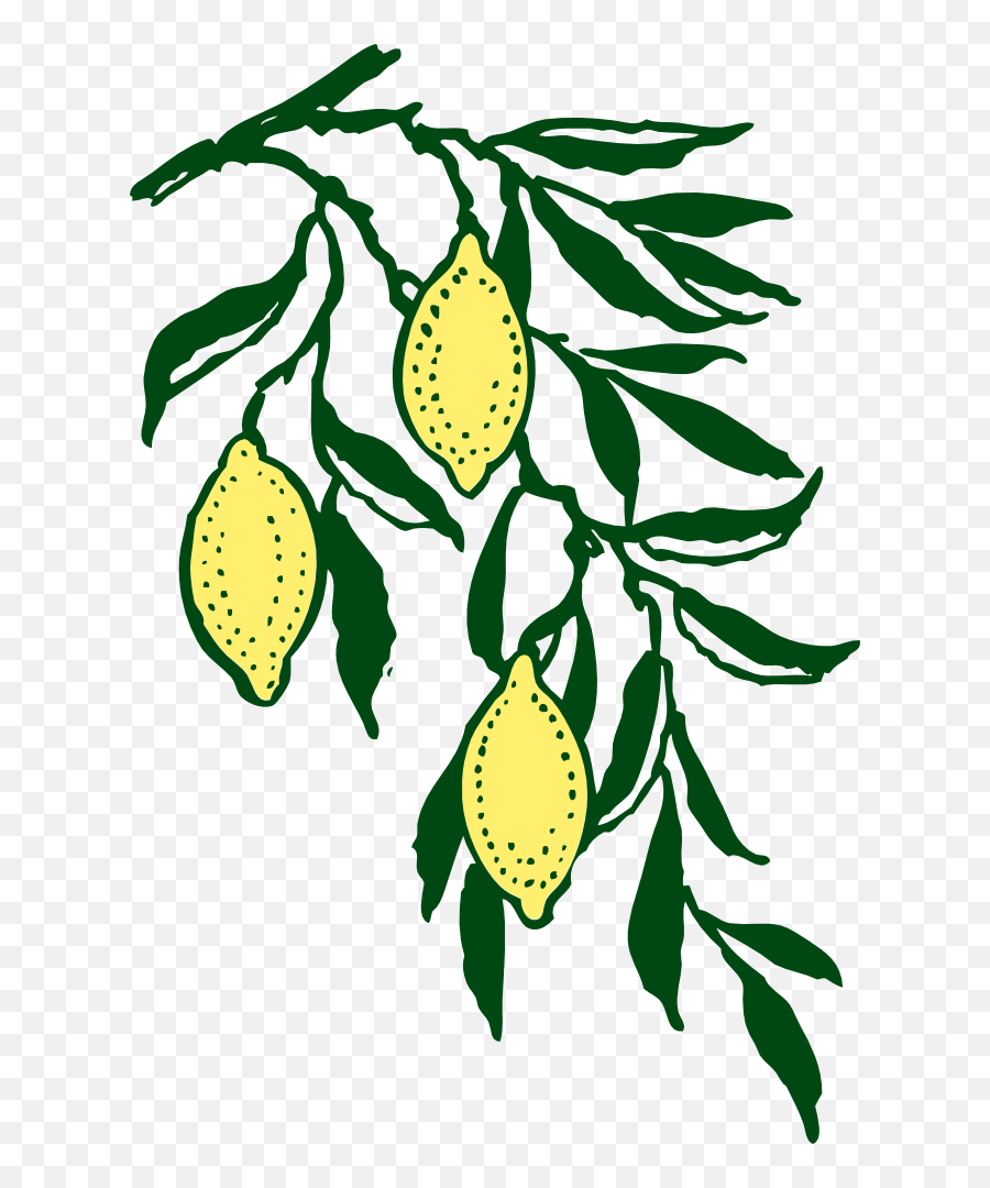 Free Lemons Clipart Free Graphics Images And Photos Image - Clipart Transparent Background Lemon Tree Emoji,Lemon Clipart