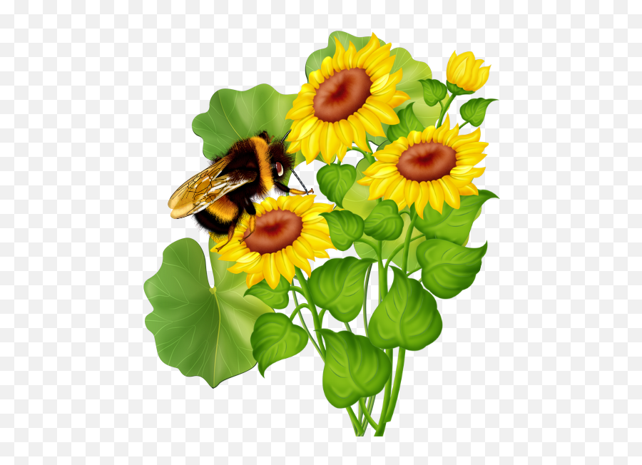 Flowers And Bees - Common Sunflower Clipart Full Size Emoji,Bees Clipart