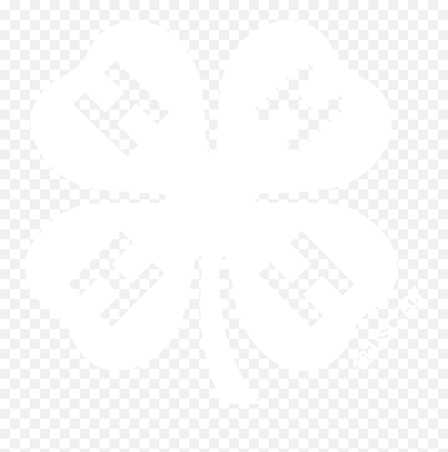 Branding Toolkit - 4h Flag Emoji,4h Logo