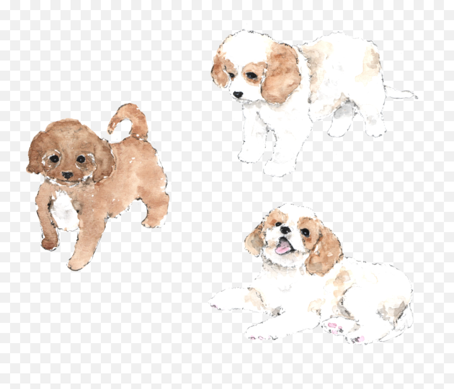 Puppy Clipart Png - Free Clipart Cavachon Cavachon Puppy Dog Supply Emoji,Puppy Clipart