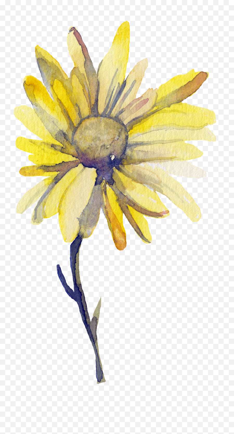 Download Yellow Sun Flower Transparent Decorative - Background Watercolour Yellow Flowers Emoji,Yellow Flower Transparent