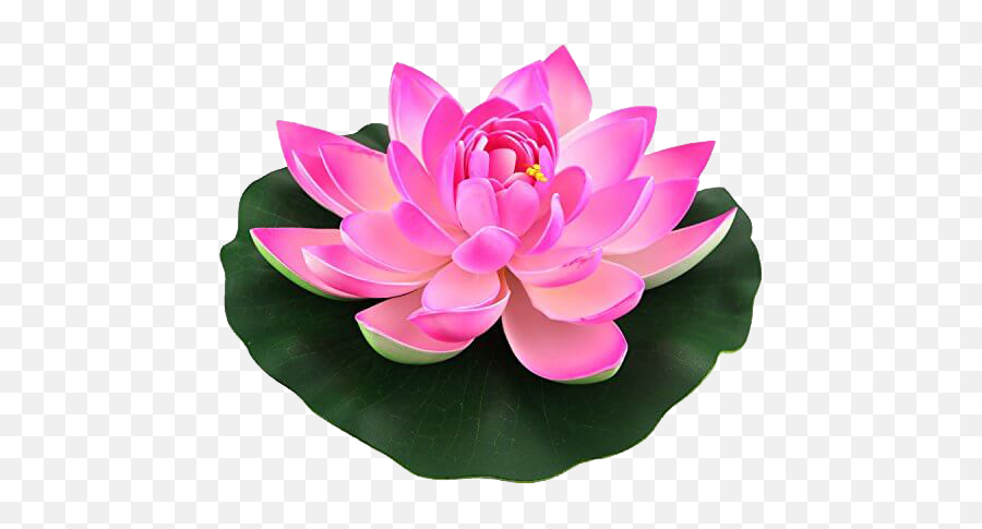 Lotus Png Images Lotus Flower Images Lotus Flower Outline Emoji,Altar Flowers Clipart