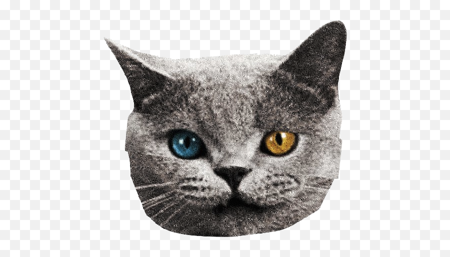 Download Hd Transparent Odd Future - Odd Future Tron Cat Emoji,Odd Future Logo Transparent