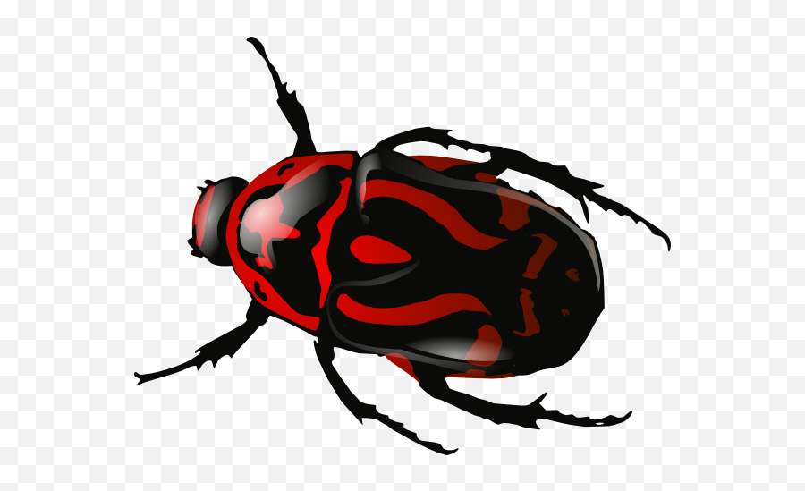 Insect Png Clipart - Insect Clipart Png Emoji,Insect Clipart