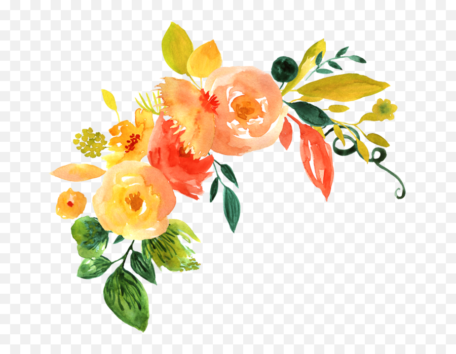 Watercolor Flower Png Pack - Orange Watercolor Flowers Png Emoji,Flower Png