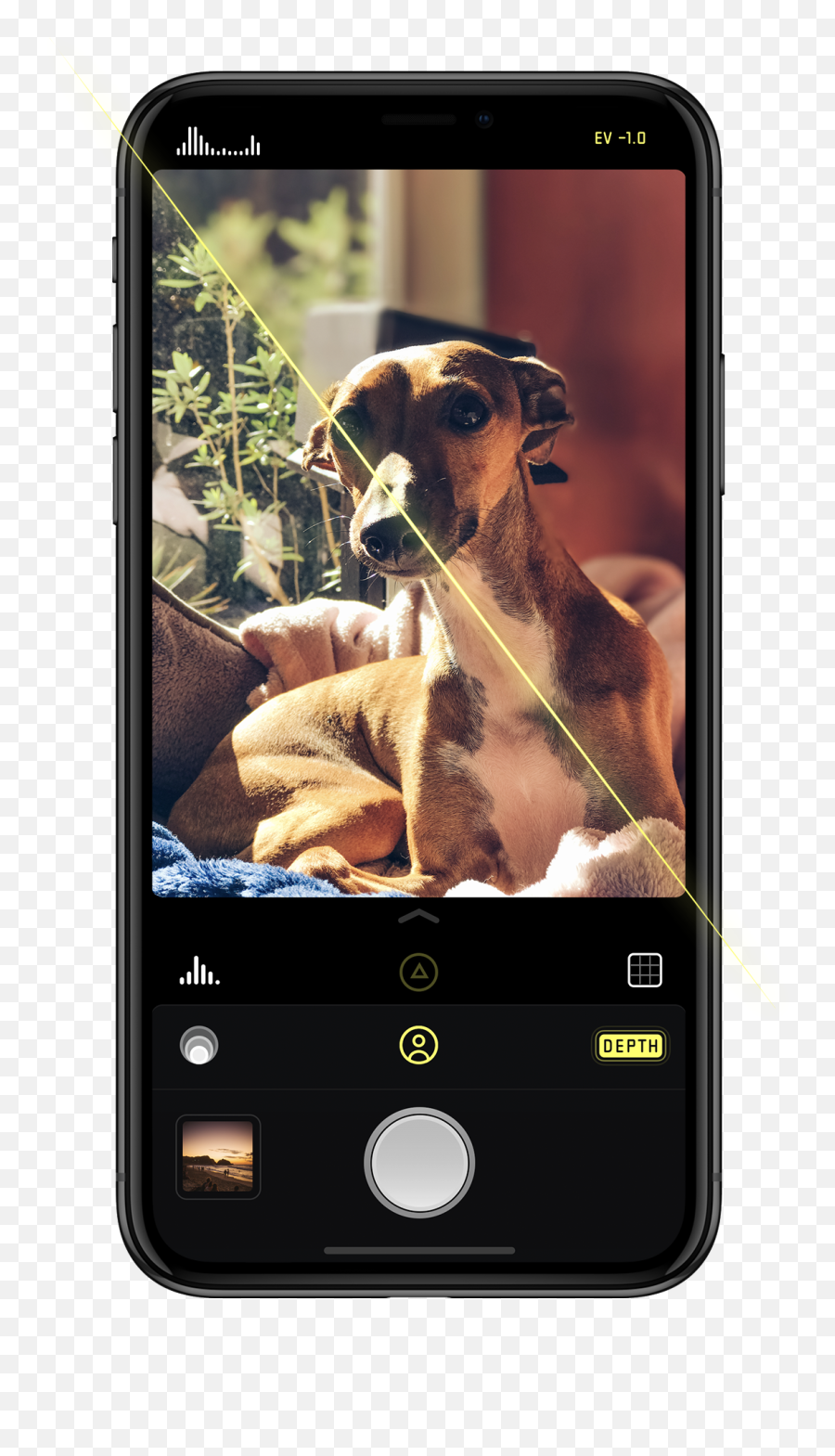 We Now Include Portrait Mode Directly Within Halide - Iphone Halide Camera Emoji,Iphone Xr Png