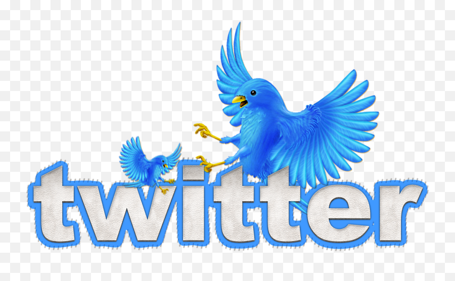Twitter Bird Chirrup Chirp Tweet Tweet - Twitter Marketing Photo Png Emoji,Twitter Bird Png