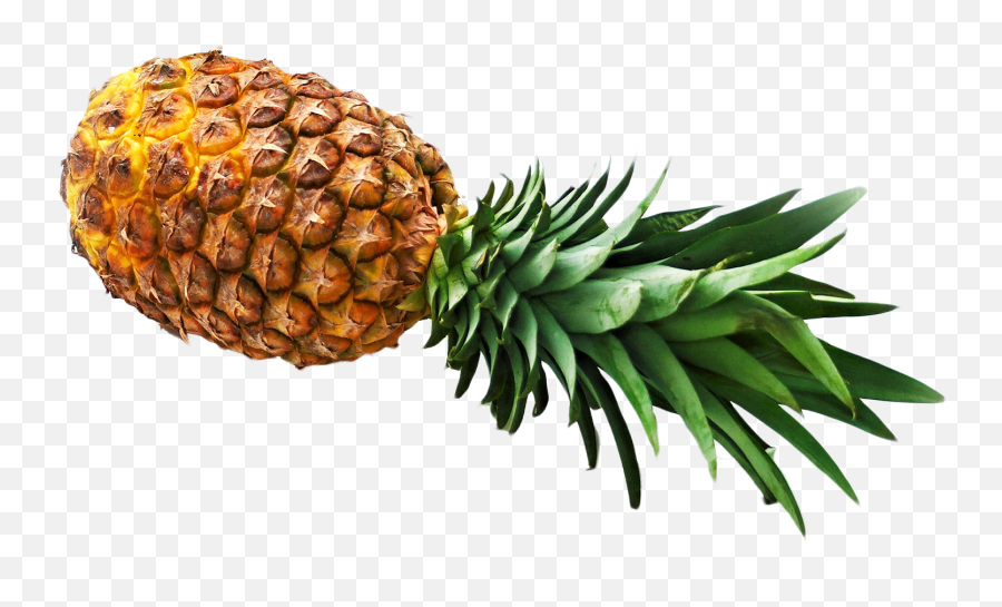 Pineapple Png Image - Pineapple On Transparent Background Png Emoji,Pineapple Png