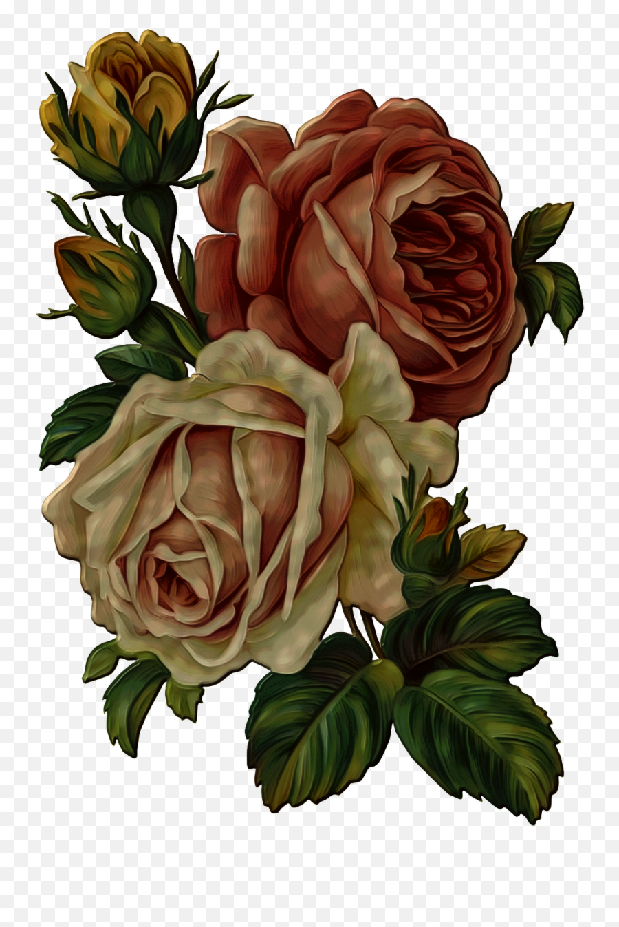 Vintage Rose Flower Png Png Download Emoji,Vintage Roses Png