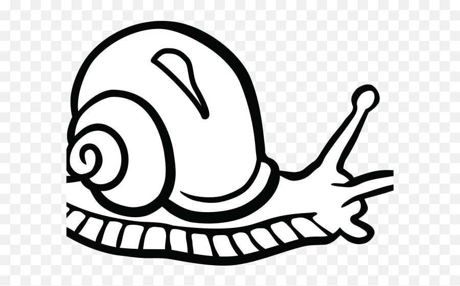 Pond Snail Clipart Black And White - Transparent Snail Clipart Black And White Emoji,Snail Clipart