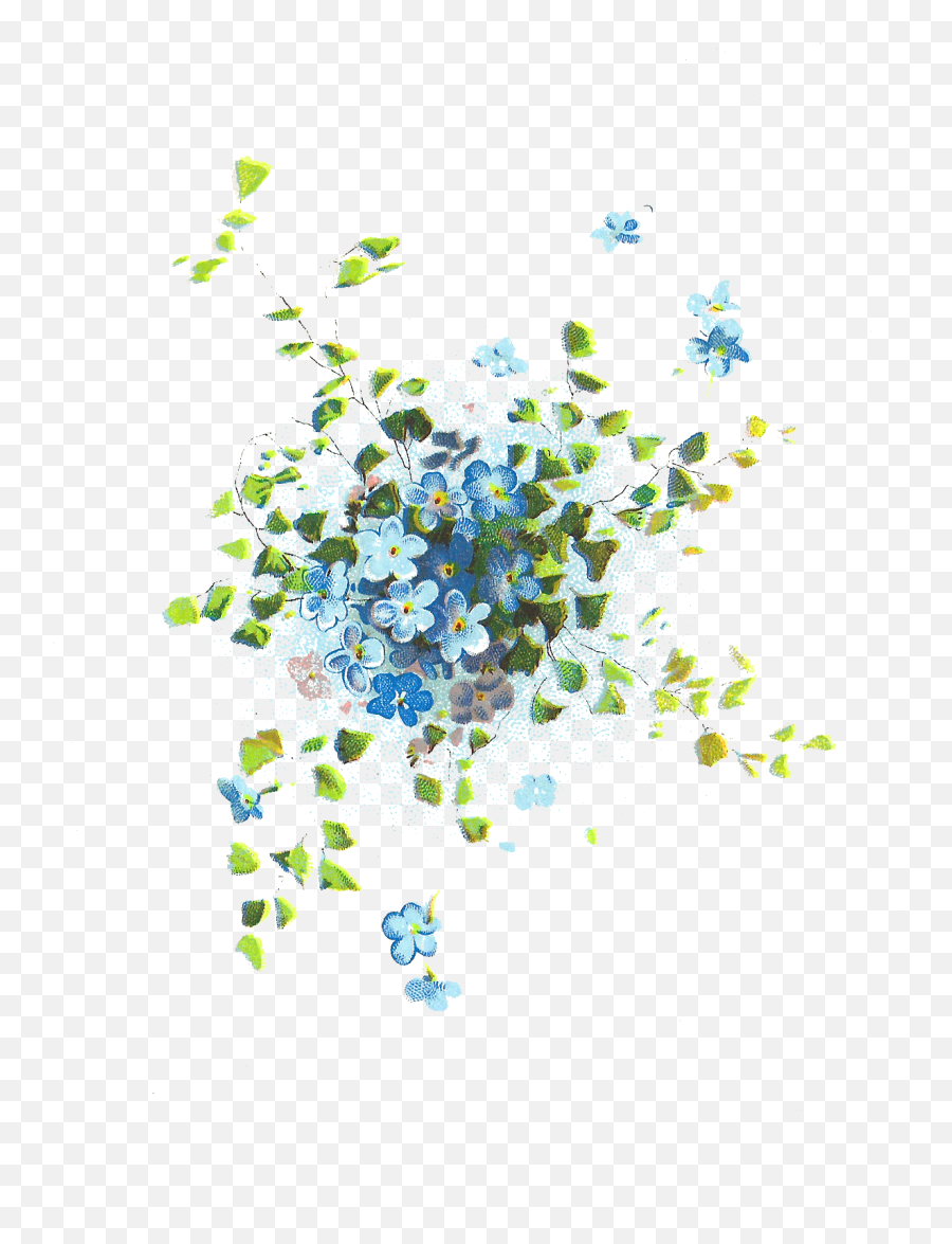 Forget Me Not Photos Hq Png Image - Blue Flowers Illustration Png Emoji,Forget Me Not Flowers Clipart