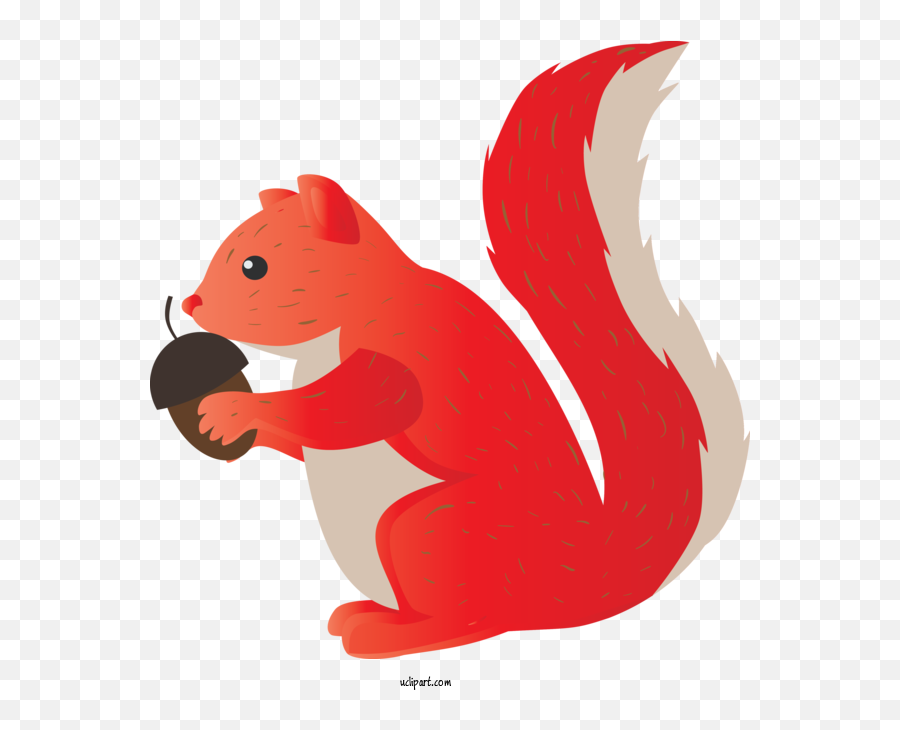 Animals Squirrel Cartoon Tail For - Animal Figure Emoji,Squirrel Transparent