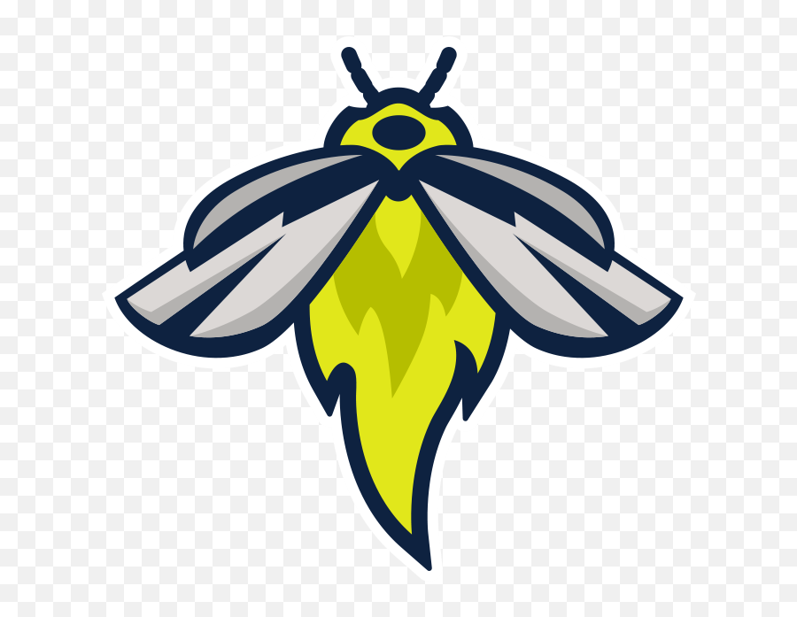 Columbia Fireflies Logo Clipart - Columbia Fireflies Logo Emoji,Firefly Logo