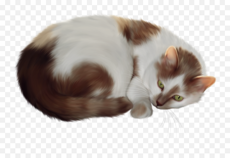 Transparent Background Cat Clipart - Transparent Cat Clipart Emoji,Cat Clipart