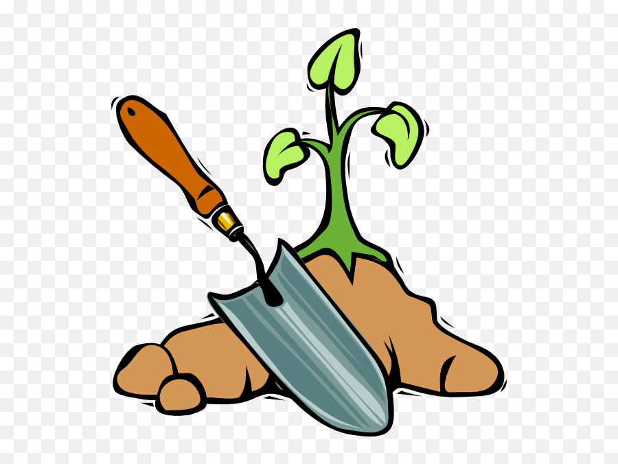 Transparent Cartoon - Cartoon Garden Carrots Png Emoji,Seeds Clipart