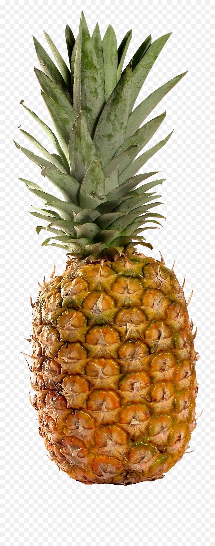 Pineapple Png Image Free Download - Pineapple Png Emoji,Pineapple Png