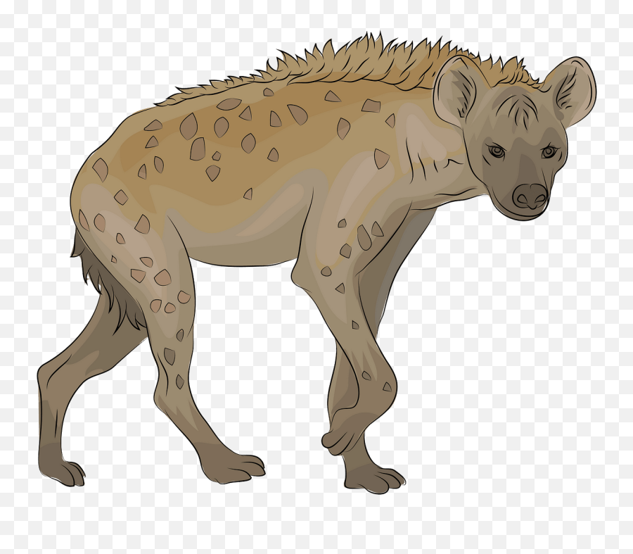 Spotted Hyena Hd Png Download - Hyena Clipart Emoji,Hyena Png