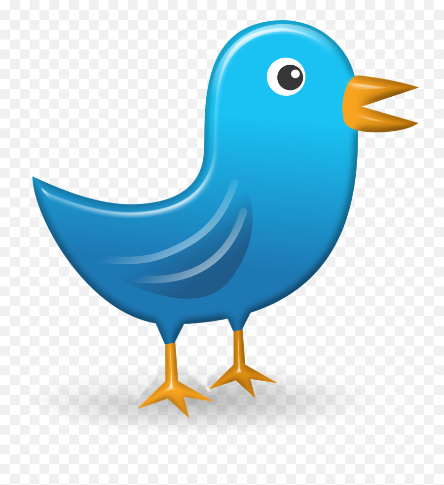 Download Twitter Icon Web Network Bird - Cartoon Bird Looking To The Right Emoji,Twitter Bird Png