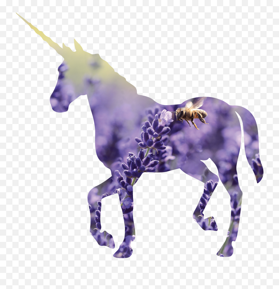 Crop Your Photo Into A Unicorn Shape By Fashionacat Fiverr - Unicorn In Black Ink Emoji,Unicorn Silhouette Png