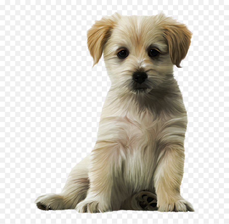 Dog Cat Puppy Kitten Felidae Emoji,Cute Dog Png