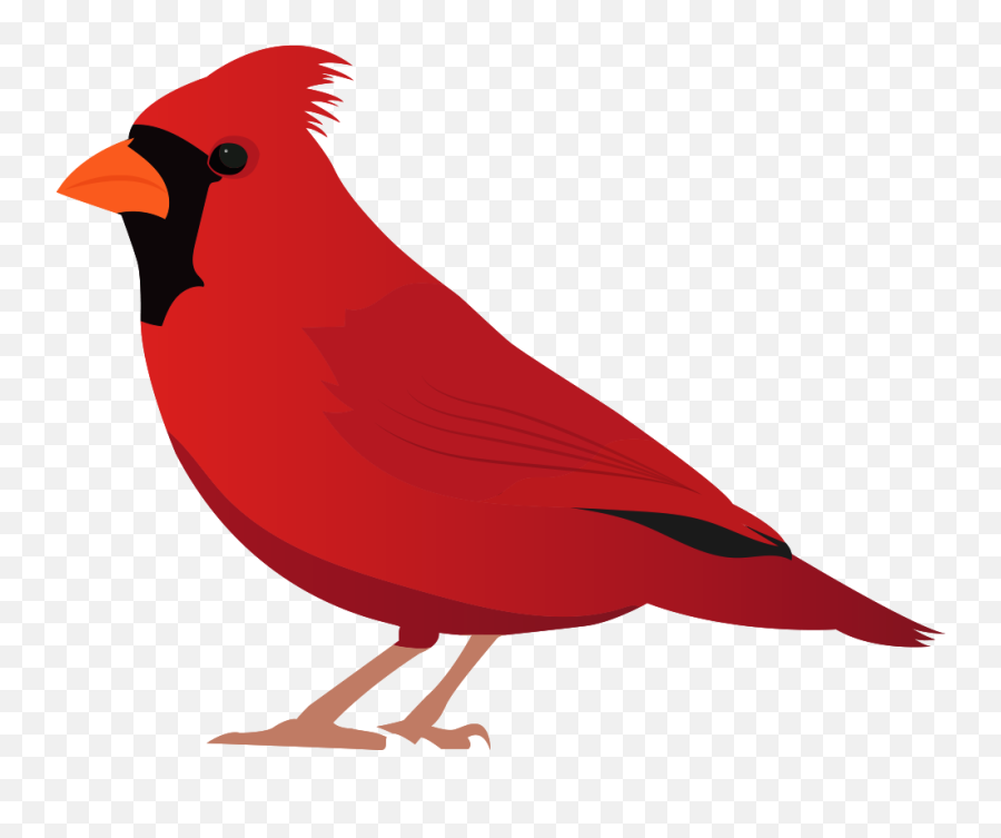 Buncee - Copy Of Veterinarian Emoji,Cardinals Clipart