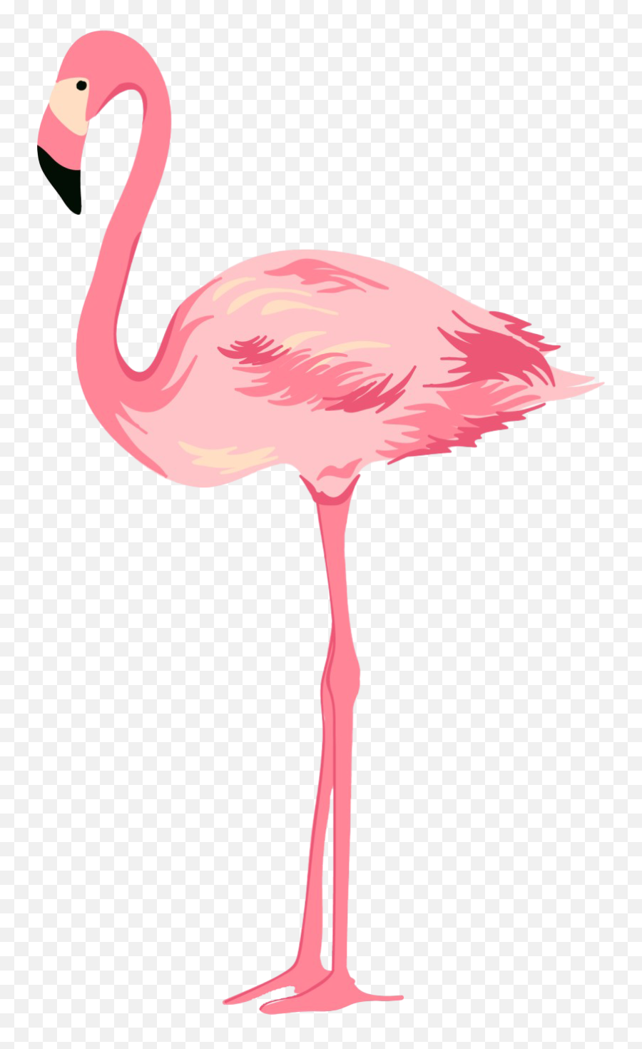 Flamingo Transparent Background - Transparent Background Emoji,Pink Flamingos Clipart