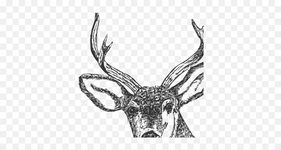 Deer Head Svg Vector Deer Head Clip - Kepala Rusa Png Emoji,Deer Clipart Black And White