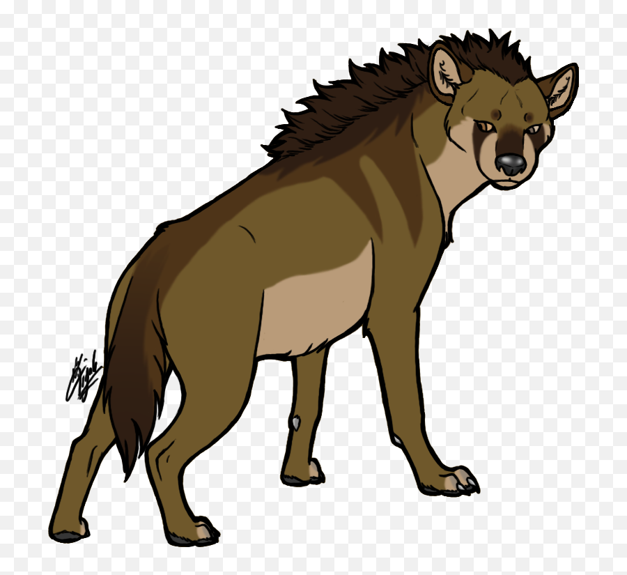 Download Hd Staring Hyena - Transparent Background Wild Animal Clipart Emoji,Hyena Png