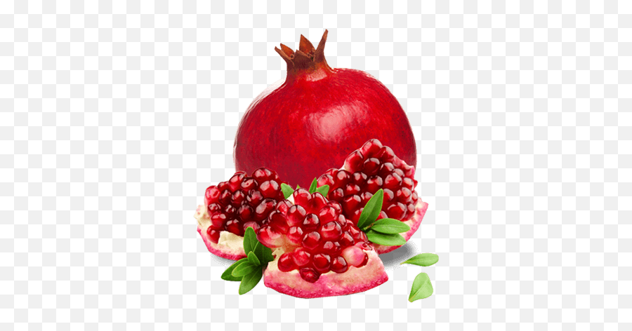 Grenade Fruit Png Transparent Images - Grenade Fruit Png Emoji,Fruit Png