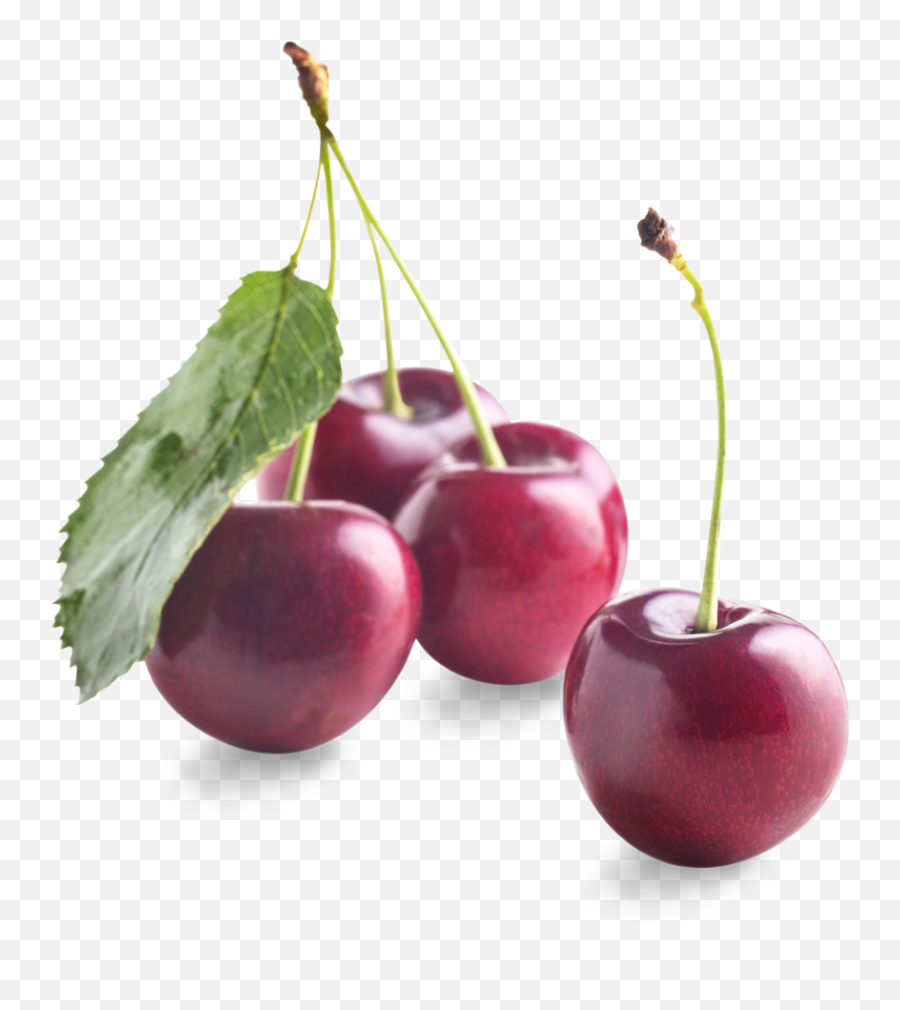 American Dream - Black Cherry Emoji,Cherries Png