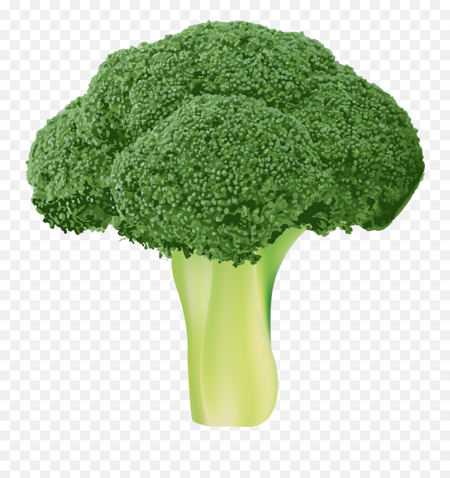 Broccoli Transparent Png Clip Art Image - Broccoli Transparent Png Emoji,Broccoli Png
