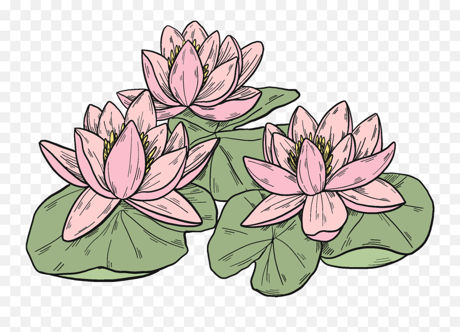 Pink Water Lilies Clipart Emoji,Water Plants Clipart