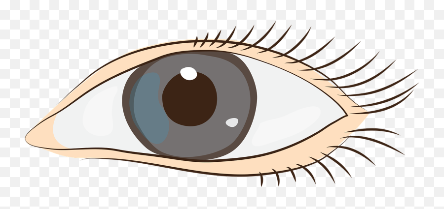 Eyes Sight Face Clip Art Png Picpng Emoji,Eye Lash Clipart