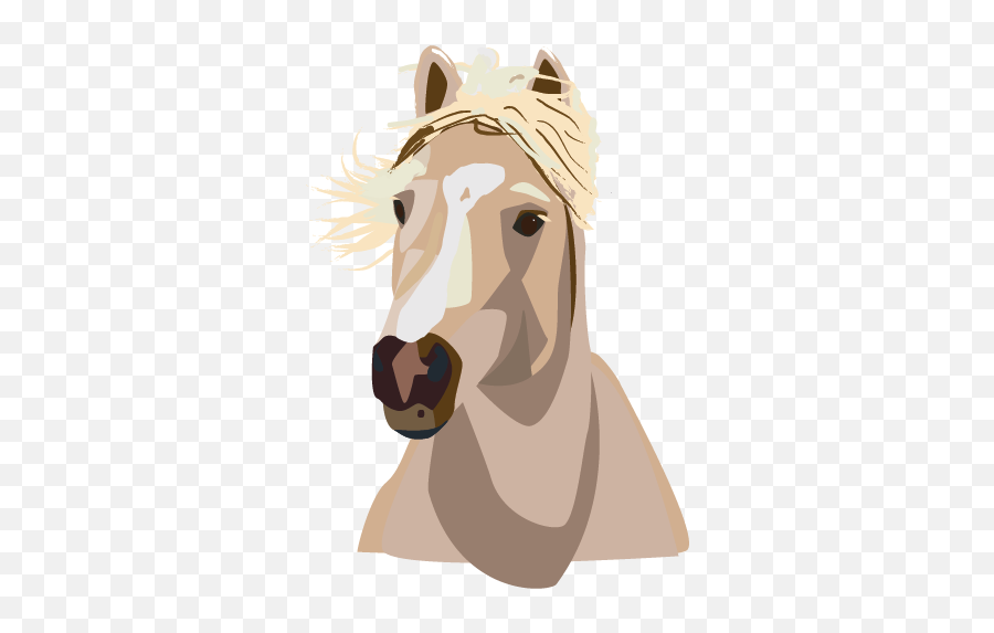11 Colorado Mustangs Ideas Wild Mustangs Wild Horses Horses Emoji,Mustang Head Clipart