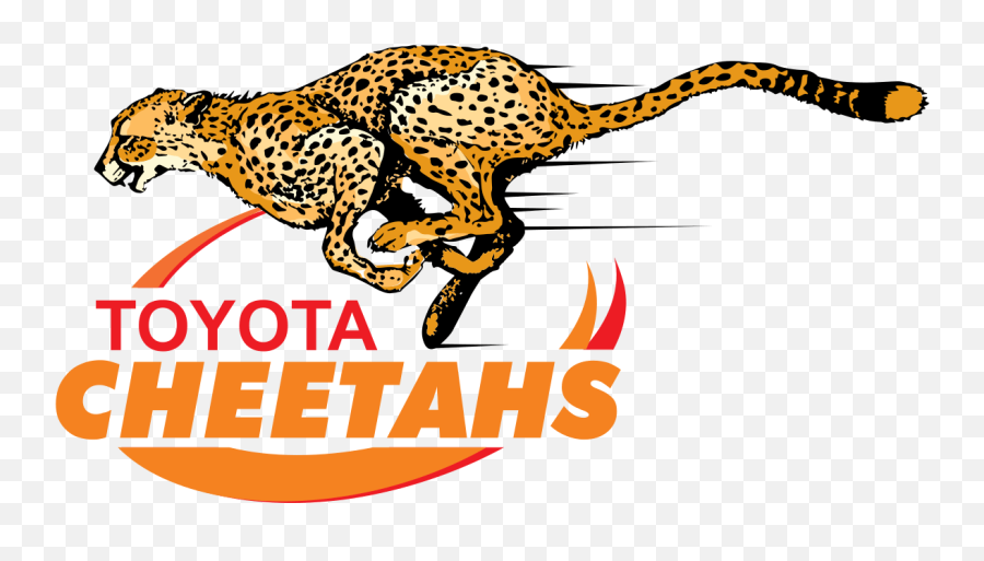 Cheetah Emblem - Cheetahs Rugby Logo Emoji,Cheetah Clipart