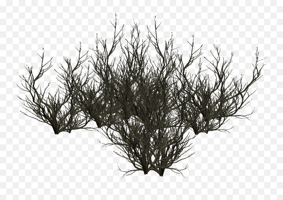 Tree Roots - Sketch Emoji,Tree Roots Png