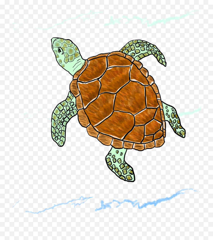 Sea Turtles Have Super Powers Emoji,Turtle Transparent
