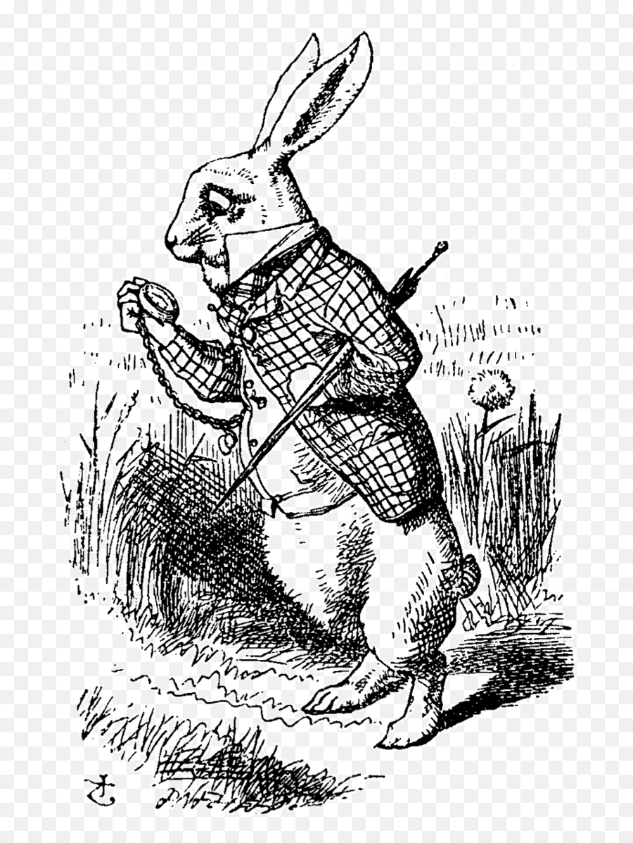 White Rabbit - Alchetron The Free Social Encyclopedia Emoji,Burn Hole Png