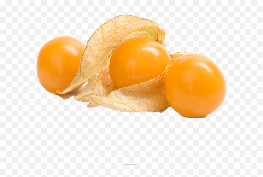Citrus Fruit Png Images Transparent - Aguaymanto Png Vector Emoji,Fruit Png
