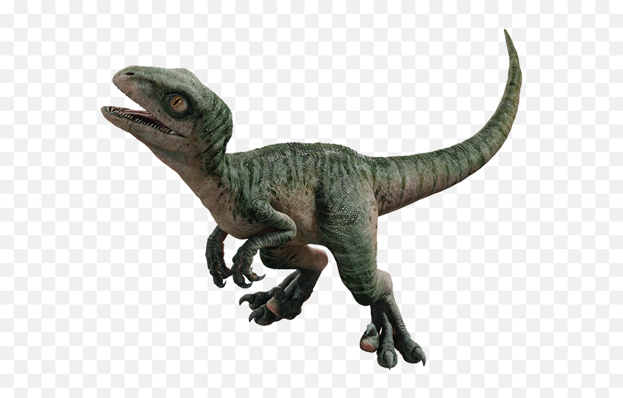 Fede On Twitter Baby Raptor Squad Rendersu2026 Emoji,Velociraptor Transparent