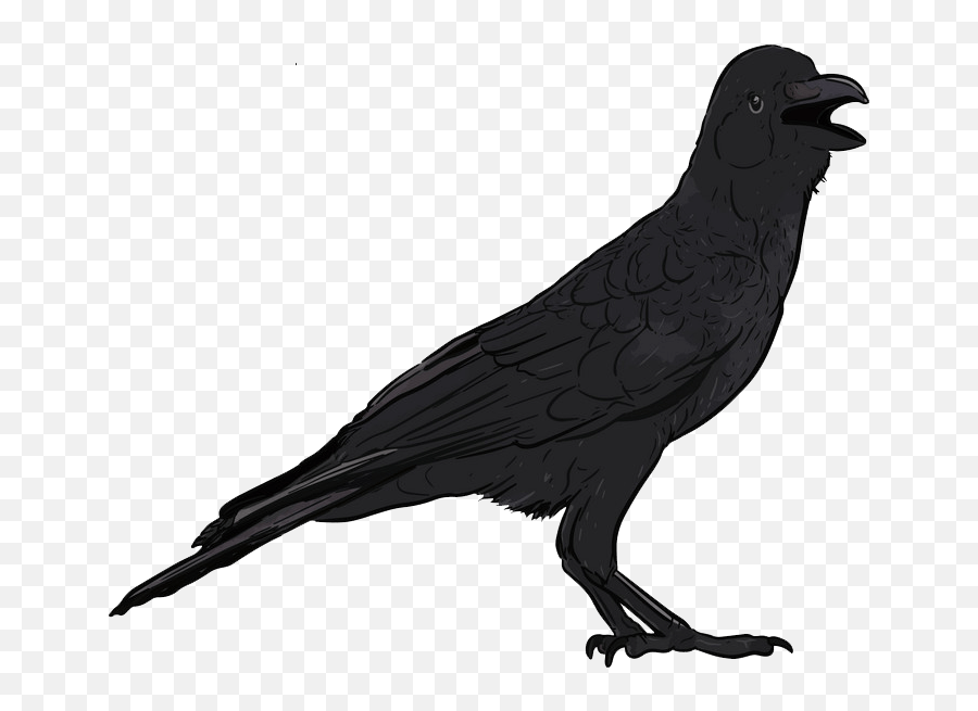 Hand Drawn Crow Clipart Transparent - Clipart World American Crow Emoji,Crow Clipart