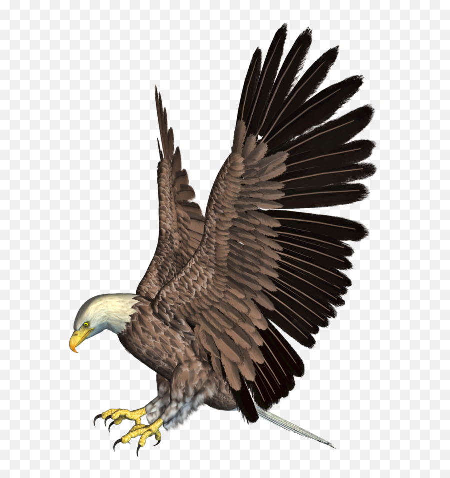 Download Eagle Free Png Transparent - Eagle Png Hd Download Emoji,Eagle Clipart