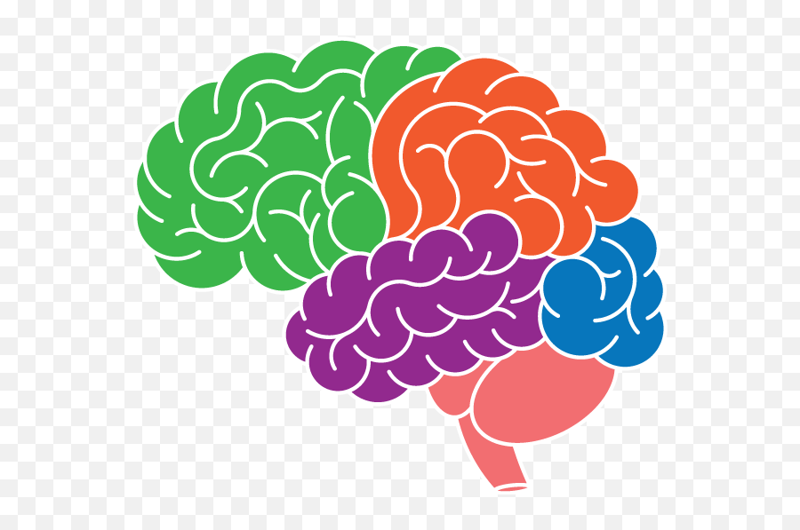 Brain Clipart Brain Power Brain Brain - Neuroplasticity Clipart Emoji,Power Clipart