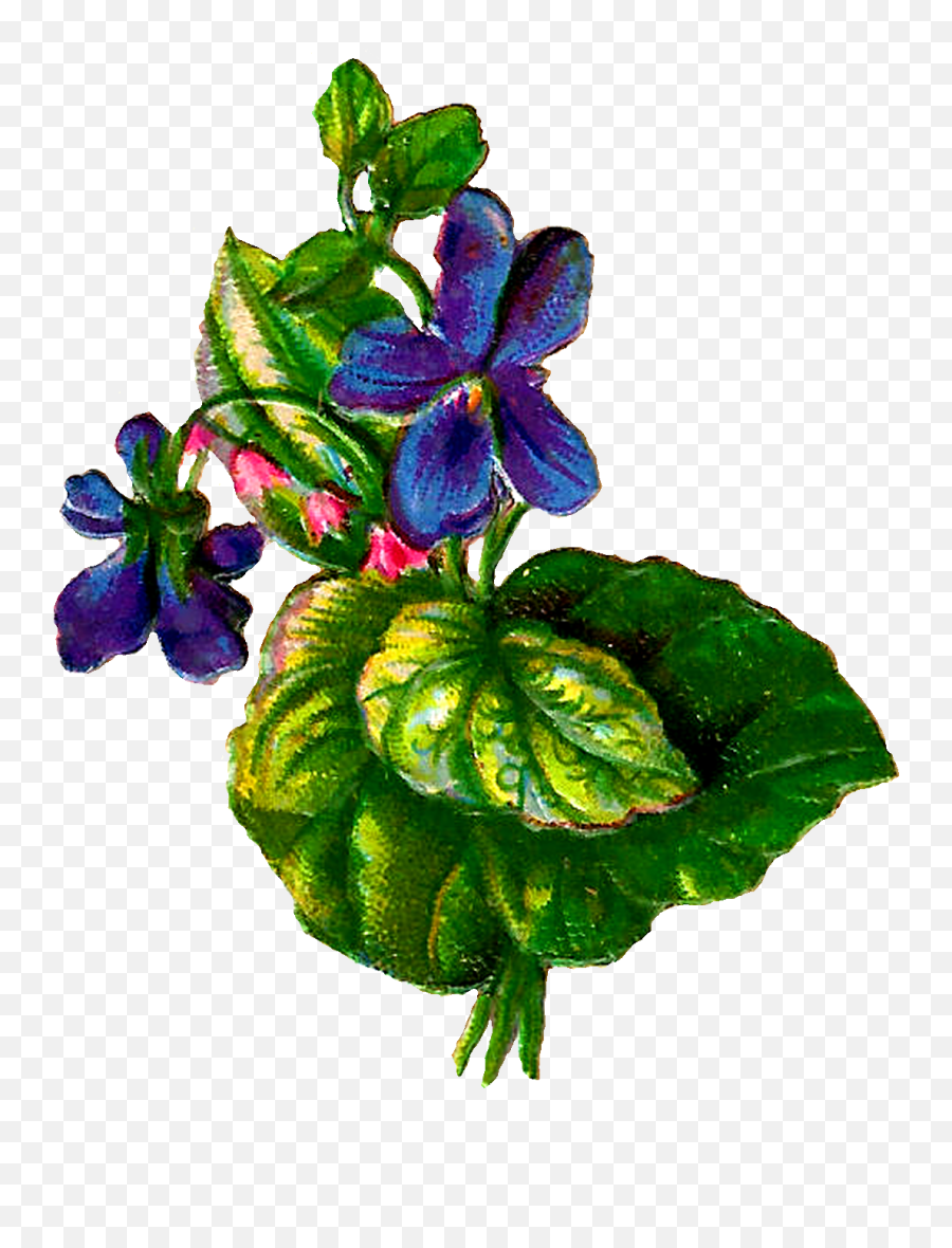 Forget Me Not Flowers Clip Art - Violet Emoji,Forget Me Not Flowers Clipart