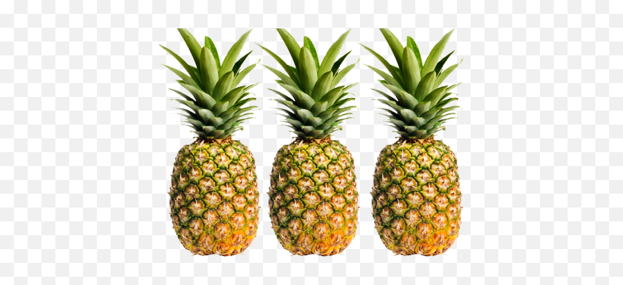 Frozen Pineapple Juice Conentrate - Pineapple Fruits Emoji,Fruit Of The Spirit Clipart