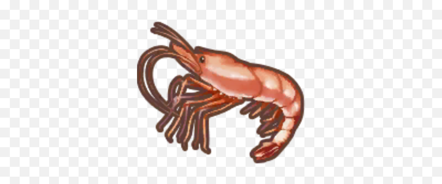 Shrimp - Big Emoji,Shrimp Png