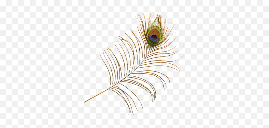 Download Peacock Feather Free Png - Decorative Emoji,Peacock Feather Png
